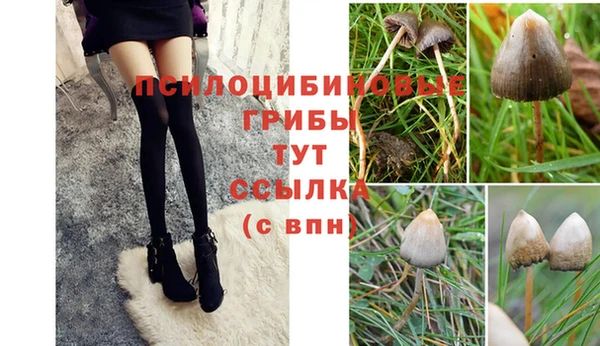 apvp Абинск