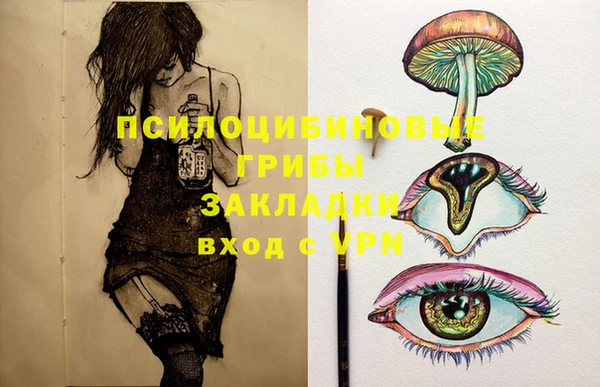 СК Абаза
