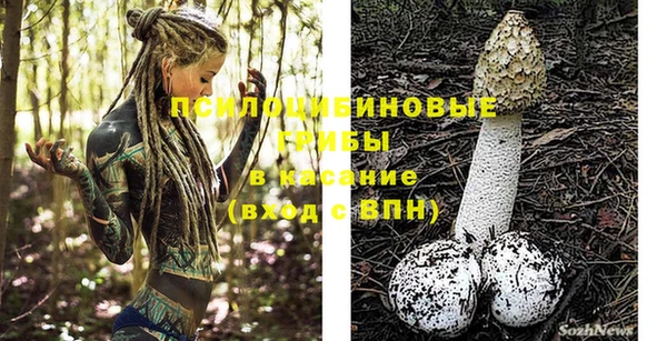 молекула духа Абдулино