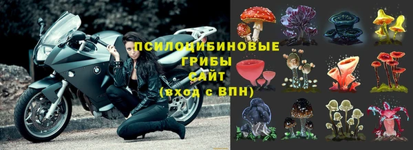 apvp Абинск