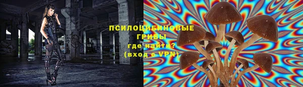 apvp Абинск