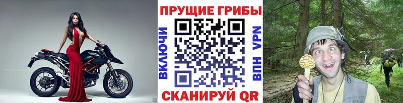 Галлюциногенные грибы Magic Shrooms  как найти   Элиста 