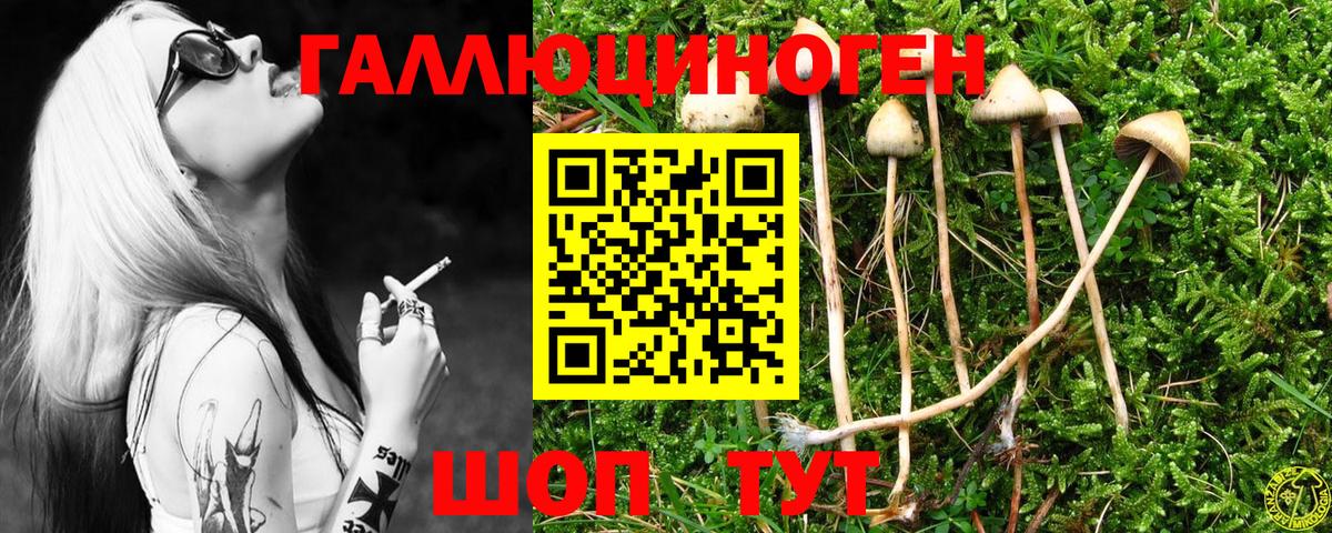 Галлюциногенные грибы прущие грибы  Вход с VPN  Элиста 
