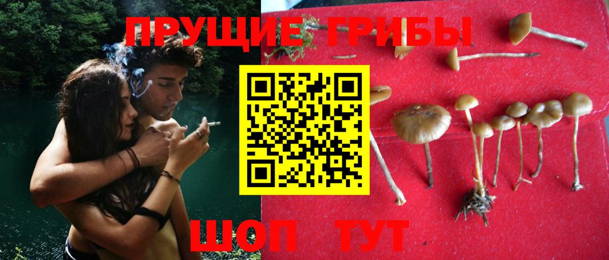 Галлюциногенные грибы прущие грибы Элиста